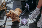 Water Boy – Collapsible Dog Water Bowl for Walks, Travel & Hiking
