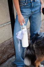 Water Boy – Collapsible Dog Water Bowl for Walks, Travel & Hiking